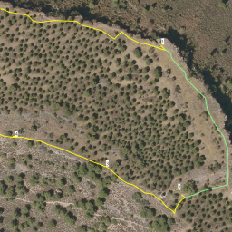 Sendero de audioguia